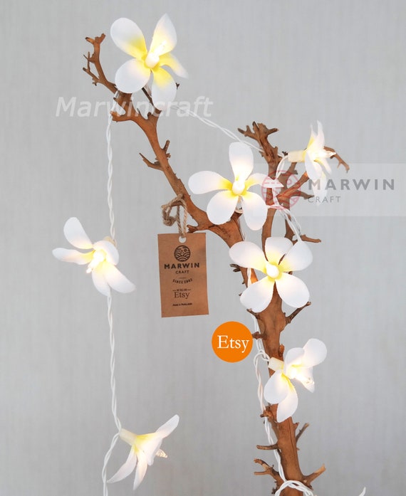 20 White Frangipani String Lights Flower Fairy Lights Bedroom Home Decor Living Room Wall Hanging Lights Wedding Decor Dorm Battery Or Plug