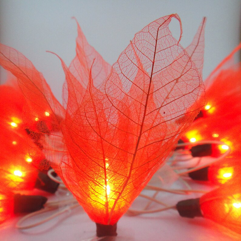 Orange String Lights Bodhi Leaves Flower Fairy Lights Bedroom Etsy