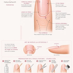Peut inclure: Une infographie éducative intitulée ANATOMIE DE L'ONGLE détaillant l'anatomie de l'ongle avec un grand schéma central d'un ongle, des parties étiquetées comme l'hyponychium, la cuticule et la matrice, et six étapes de préparation de l'ongle.