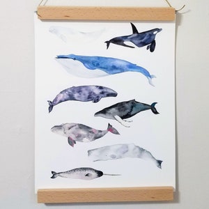 Watercolor Art PRINT - Whales - Ocean Sea Marine - 11x14 - 8x10 - 5x7