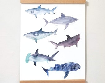 May include: A framed print featuring a watercolor illustration of seven different types of sharks, including a hammerhead, a whale shark, and a tiger shark. The sharks are depicted in shades of blue, purple, and gray against a white background.
