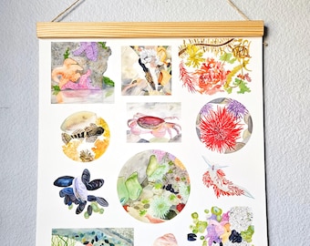 Watercolor Art PRINT - PNW Tidepools - Nature Art Home Décor