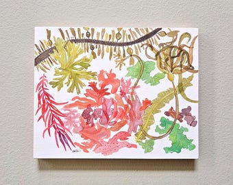 Original Watercolor - Red, Brown, and Green Kelp and Seaweed - Tidepool art