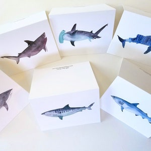 Requins aquarelle - cartes de voeux vierges - lot de 6 impressions - format A2 - poisson de mer