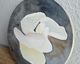 Original Oyster Mushrooms Watercolor art mounted on wood panel - 6 inch circle