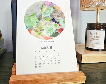 2027 Desk Art Calendar 5x7 - PNW Tidepools - Watercolor Art - with Wooden Stand optional