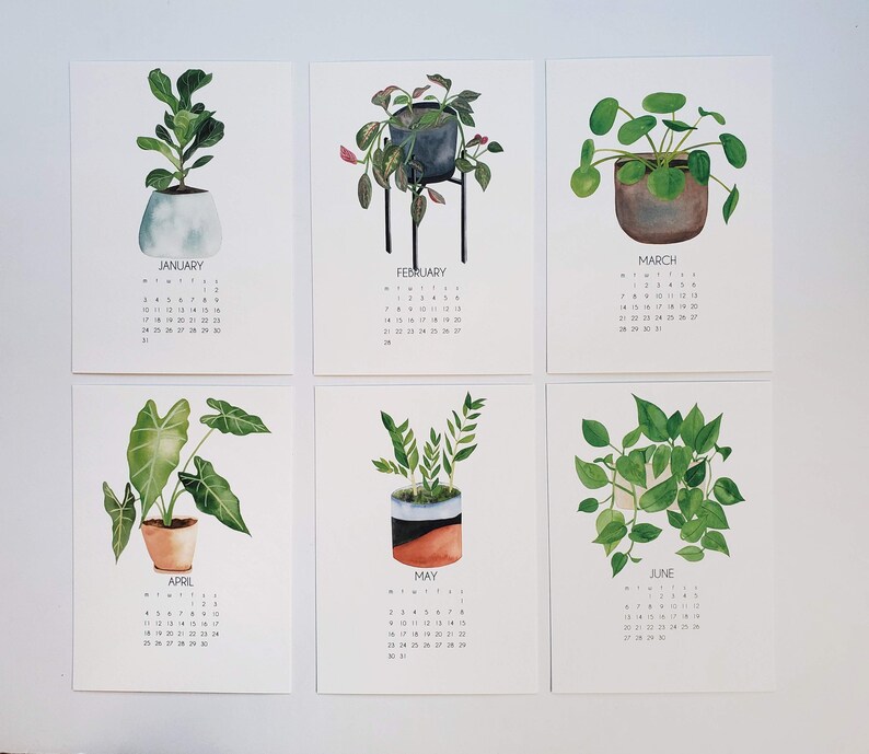 NEW Houseplants 2023 Desk Art Calendar 5x7 PNW Etsy