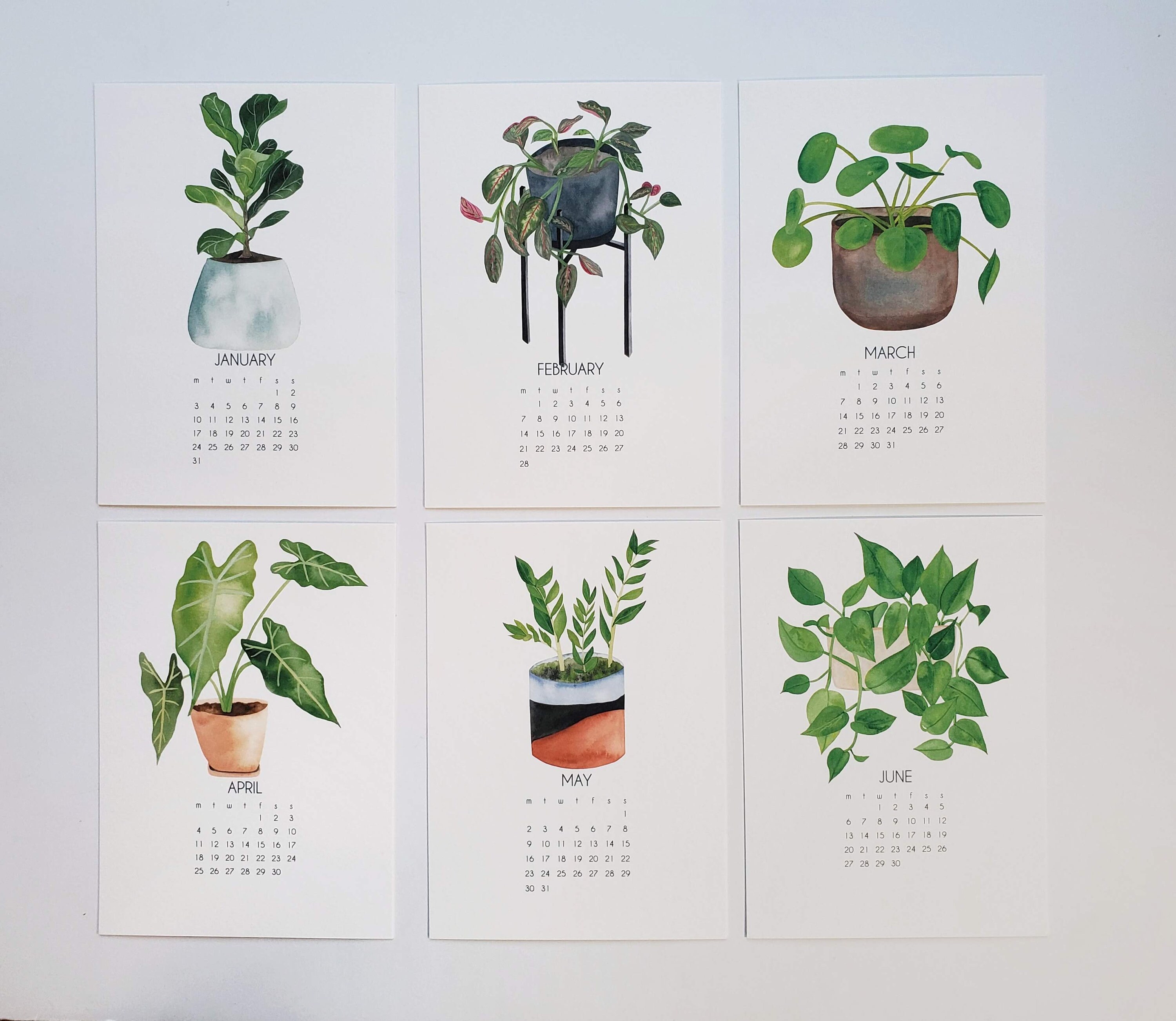 Houseplants 2024 Desk Art Calendar 5x7 PNW Watercolor Etsy
