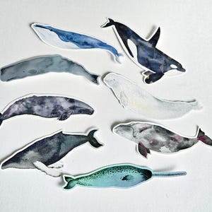 Small Vinyl Stickers - Watercolor art - Whales