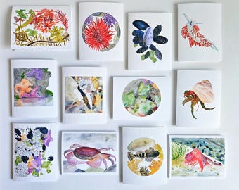 Watercolor PNW Tidepool Greeting Cards - Ocean Lover Gift, Box of 12