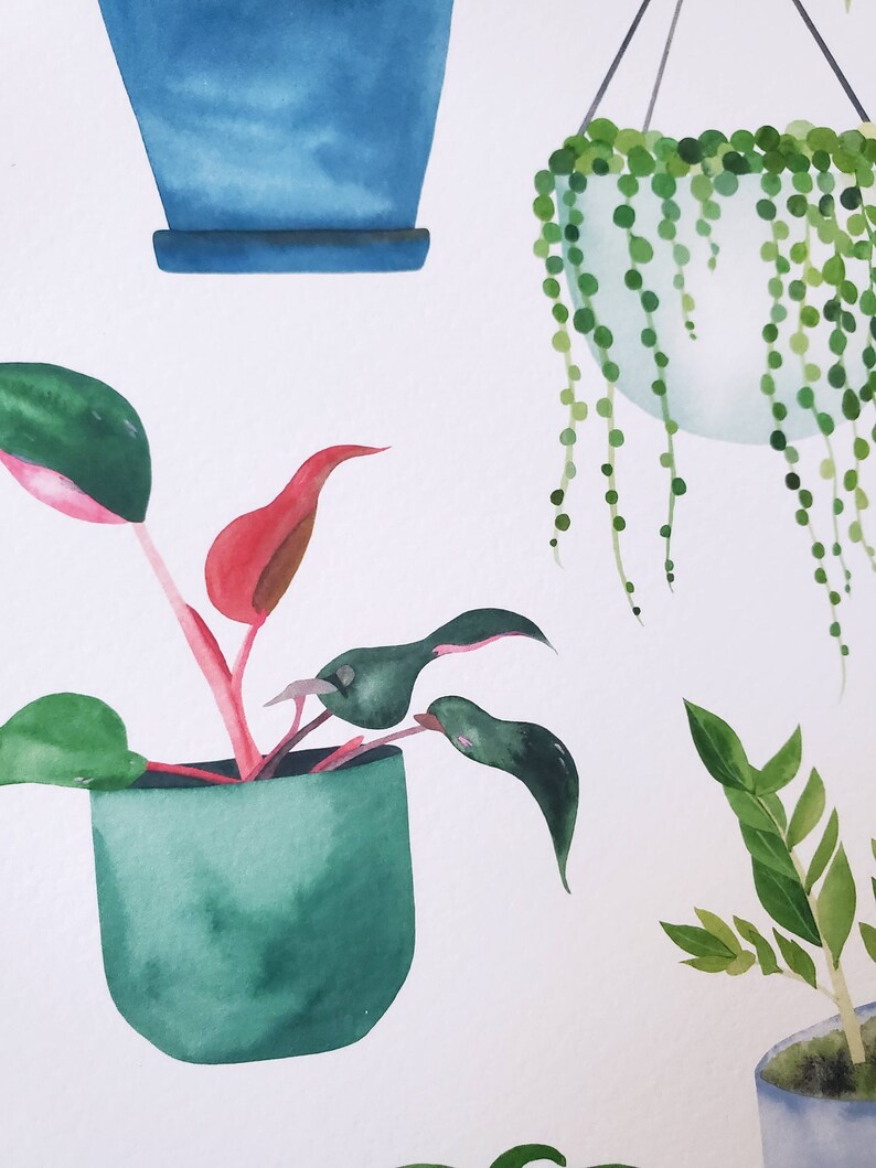 Watercolor Art PRINT - House Plants - Greenery Home Décor - Etsy