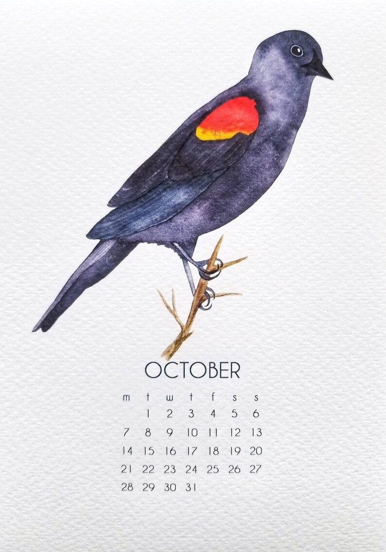 2025 Desk Art Calendar 5x7 Pacific Northwest Birds Watercolor Art With
