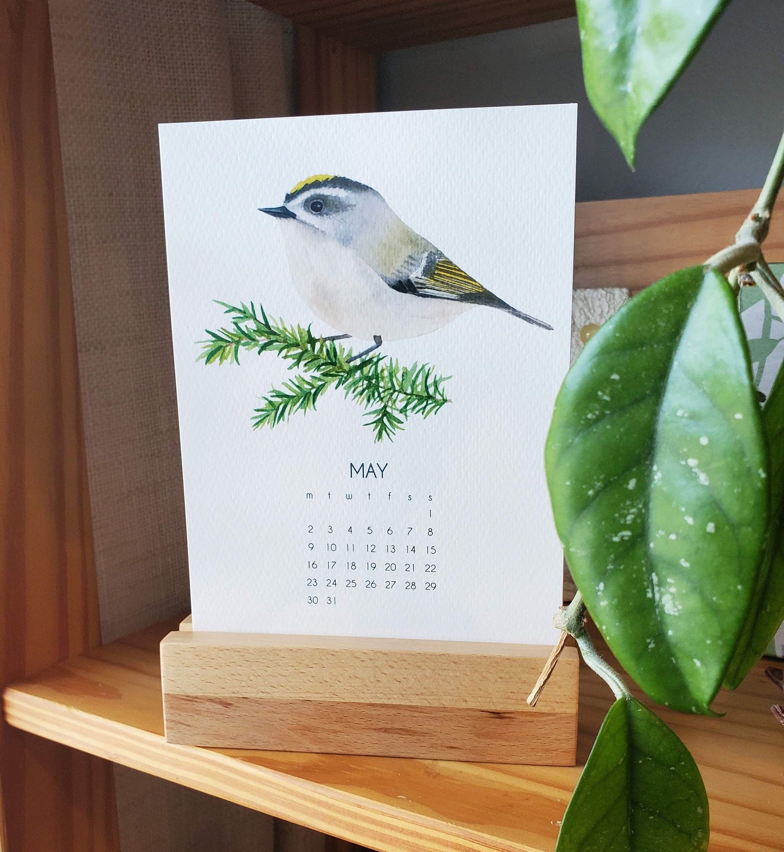 birds-2-0-2022-desk-art-calendar-5x7-pnw-watercolor-art-etsy