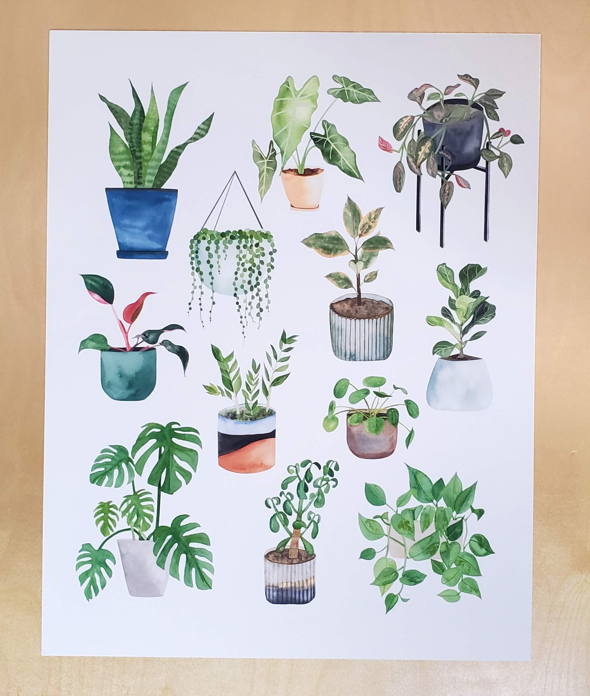 Watercolor Art PRINT - House Plants - Greenery Home Décor - Etsy