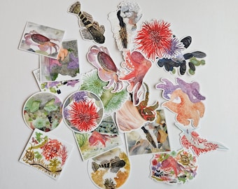 Small Vinyl Stickers - Watercolor art - Tidepools Collection