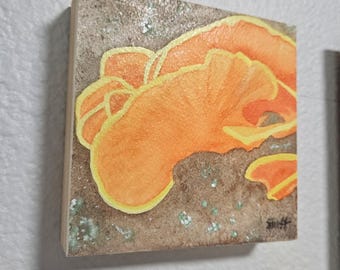 Original Watercolor art mounted on wood panel - Chicken of the Woods Mushroom - 4x4 inches square