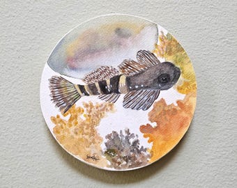 Original Sculpin fish Tidepools Watercolor art mounted on wood panel - 6 inch circle