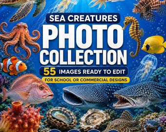 55 Sea Creatures Individual Cut out image, no background, PNG and editable