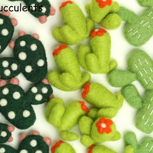 Succulente in feltro/Cactus in feltro/Cactus in feltro