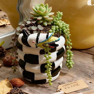 May include: A ceramic planter shaped like a coiled snake with black and white horizontal stripes. The snake head features a yellow mouth, red accents, and a black tongue. The planter contains a green succulent and a trailing string of pearls plant.