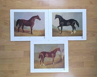 Set di 3 stampe vintage di cavalli, "Stable Mates", di Ben Herring Haddad, 1986, sigillate.