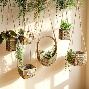 May include: A collection of six hanging woven baskets in various shapes and sizes, suspended by jute ropes. The baskets feature natural tan fibres, some with silver-toned metal plaques, and contain assorted green plants and trailing vines.