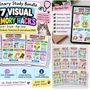 May include: A veterinary study bundle featuring 27 visual memory hacks for students and technicians. The collection includes colourful charts on antibiotic memory hacks, urinary stones, and endocrine tests, with illustrations of dogs and cats.