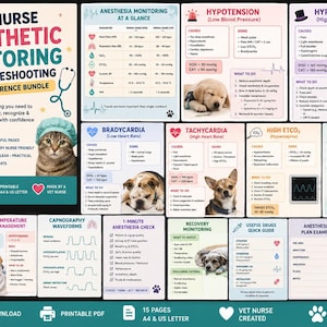 Puede incluir: Un paquete de referencia rápida digital de 15 páginas para la monitorización y resolución de problemas anestésicos para enfermeros veterinarios. Las páginas incluyen gráficos, datos médicos e ilustraciones de perros y gatos.
