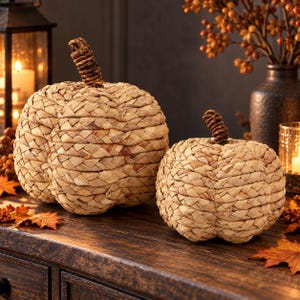 May include: Two round decorative pumpkins crafted from woven light brown natural fibers. Each pumpkin features a tightly coiled, dark brown stem at the top. The woven texture creates a repeating braided pattern across the surface.