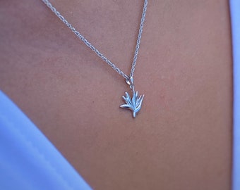 Paradiesvogel schmuck , Paradiesvogel schmuck , Paradiesvogel schmuck , Paradiesvogel schmuck , Paradiesvogel schmuck