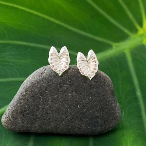 May include: A pair of silver earrings shaped like a leaf. The earrings are small and delicate, and they would make a great gift for someone who loves nature.
