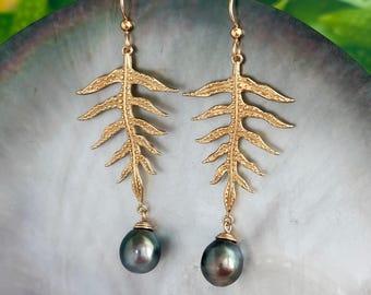 May include: Gold earrings with a fern design and a black pearl drop.