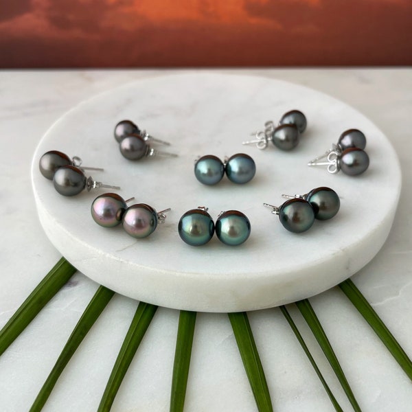 Tahitian Pearl Stud Earrings , Tahitian pearl earrings , Tahitian pearl jewelry , tahitian pearl , tahitian pearl jewelry hawaii ,hawaii