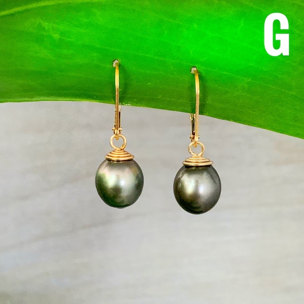 Quality Tahitian Pearl Leverback Earrings