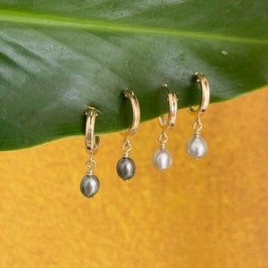 Keshi pearl mini hoop earrings , keshi , keshi earrings , tahitian keshi , tahitian pearl hoop earrings  , tahitian keshi pearl earrings