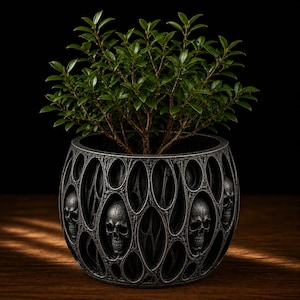 May include: A round, dark gray planter with a textured, web-like lattice exterior featuring multiple integrated human skull motifs. A small, leafy green plant with thin, woody branches grows out of the top of the decorative container.