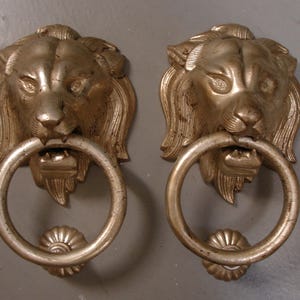 Op de afbeelding: Een paar metalen goudkleurige deurkloppers in de vorm van een leeuwenkop. Elk stuk is voorzien van een gebeeldhouwd leeuwengezicht met gedetailleerde manen en een cirkelvormige ring in de bek. Het metalen oppervlak vertoont tekenen van slijtage en patina.