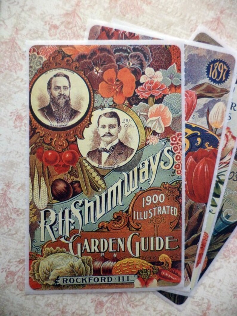 Victorian Seed Packets Stickers On Sale Etsy Vintage Stickers Etsy