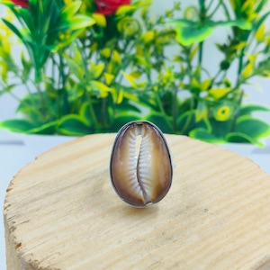 May include: A ring featuring a polished brown cowrie shell as the centrepiece. The shell has a smooth, glossy surface with a natural tan and dark brown gradient, showcasing the characteristic central slit with white, tooth-like ridges.