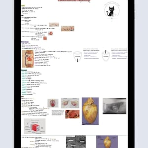 Puede incluir: Una tableta digital que muestra una guía de estudio titulada Cardiovascular Physiology. El documento contiene notas manuscritas, diagramas de anatomía cardíaca, gráficos fisiológicos e ilustraciones médicas, con un logotipo de gato en la esquina.