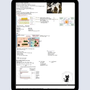 Physiologie des fluides corporels vétérinaires : résumé des notes pour étudiants et enseignants (version numérique)