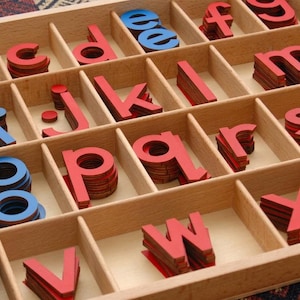 May include: A wooden sorting tray with multiple compartments containing stacks of lowercase alphabet letters. The letters are made of wood and are colored in either red or blue, organized by character within the individual grid sections.
