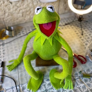 May include: A green felt frog puppet featuring large white eyes with black pupils, a wide open mouth with a red interior, and a pink tongue. The puppet has a pointed collar, long thin arms, and webbed feet, constructed from textured green fabric.
