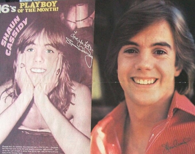 SHAUN CASSIDY the Hardy Boys Breaking Away General Etsy