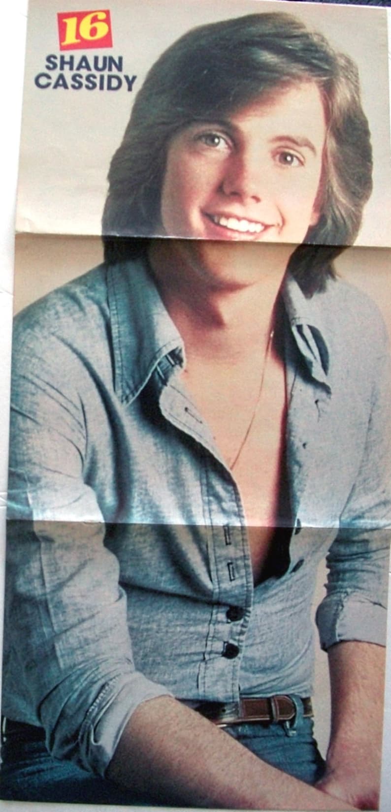 SHAUN CASSIDY The Hardy Boys Breaking Away General Etsy