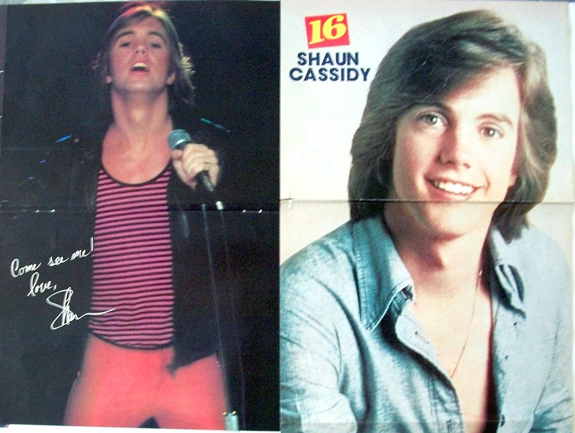 SHAUN CASSIDY The Hardy Boys Breaking Away General Etsy