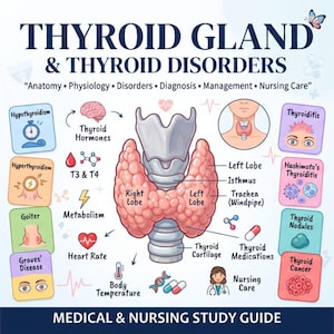 Peut inclure: Un guide d'étude médical intitulé THYROID GLAND & THYROID DISORDERS. Le graphique présente une illustration anatomique centrale de la glande thyroïde, de la trachée et du cartilage, entourée d'icônes et d'étiquettes pour diverses affections.