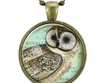 Op de afbeelding: Een ronde glazen hangerketting met een bronzen ketting. De hanger heeft een vintage illustratie van een uil met bruine en witte veren op een lichtblauwe achtergrond met tekst die "REGALIA NUGALIA ALIA KINDA FE, H SPO UN." luidt.