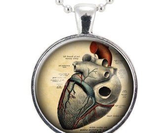 Halloween Necklace, Anatomical Heart Necklace, Gothic Heart, Doctor Necklace, Anatomy Pendant, Goth Fashion (1125S25MMBC)