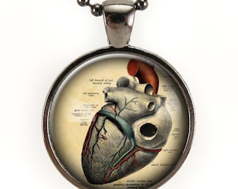 Anatomical Heart Necklace, Halloween Necklace Gift, Anatomy Jewelry, Nu Goth Pendant, Anatomy Necklace